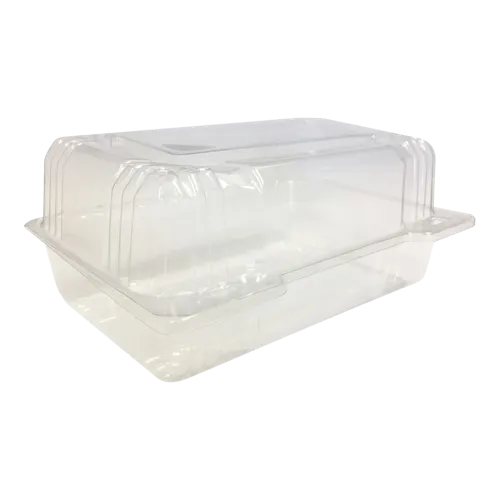 Clamshell Plastic Container