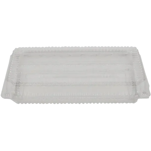 Clamshell Plastic Container