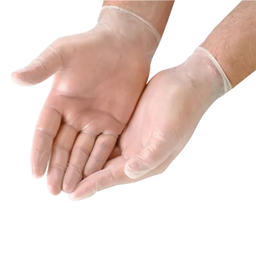 Clear Vinyl Gloves