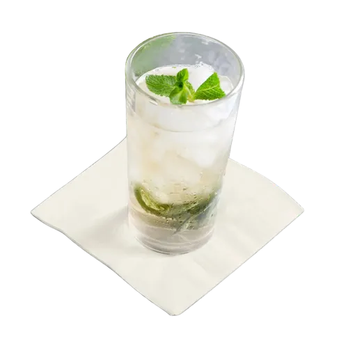 Cocktail/Beverage Napkins