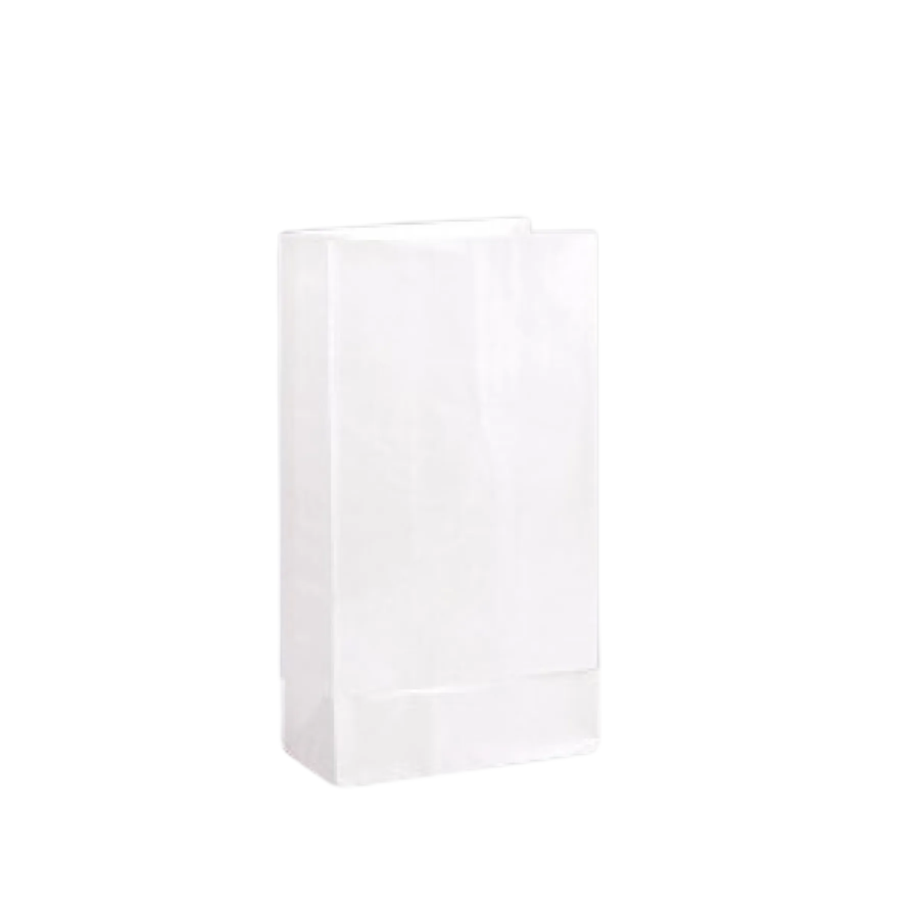 Pharmacy / Prescription Bags