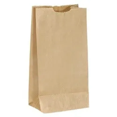 Paper Bags - Brown *Use white for clearance*