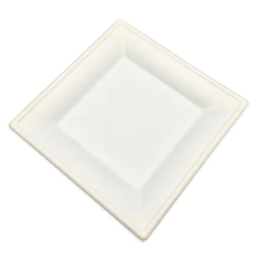 Sugarcane/Bagasse Plate