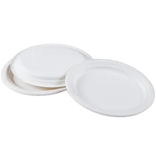 Sugarcane/Bagasse Plate
