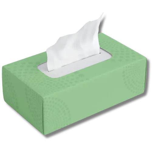 Gogo Facial Tissue