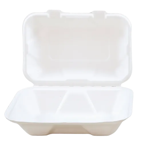 Sugarcane/Bagasse Take-Out Container
