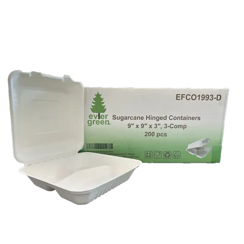 Sugarcane/Bagasse Take-Out Container